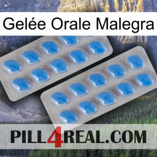 Gelée Orale Malegra 23